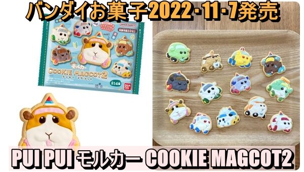 7 PUI PUI モルカー COOKIE MAGCOT2